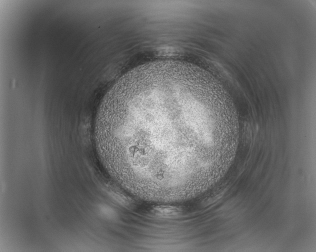 X0000073840557200608311937