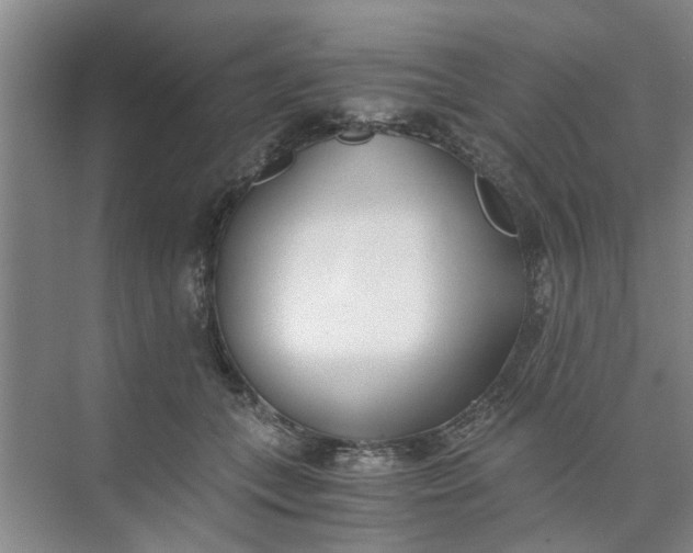 X0000073840559200608311937