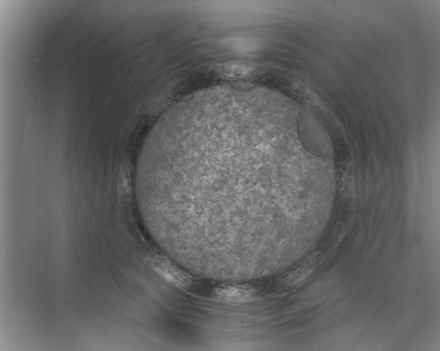 X0000073840561200608311937