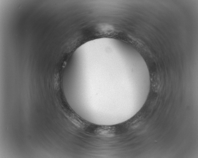 X0000073840563200608311937