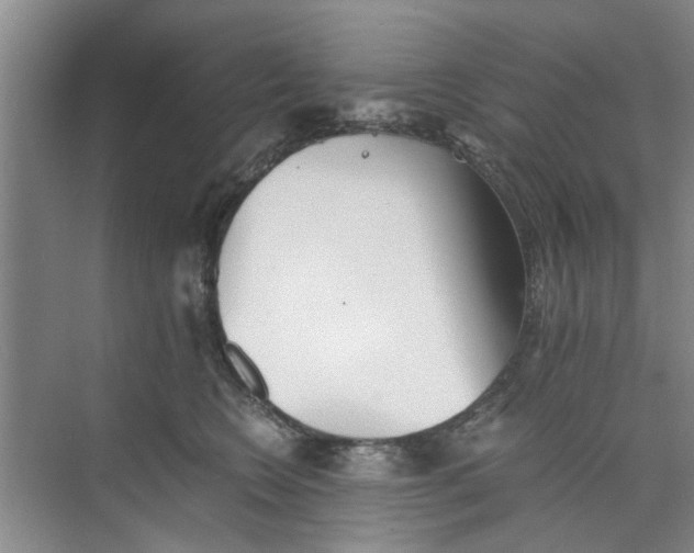 X0000073840566200608311938