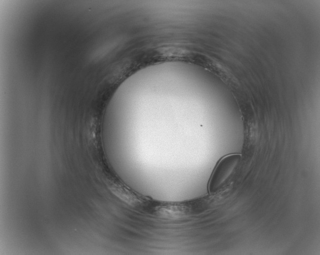 X0000073840567200608311938