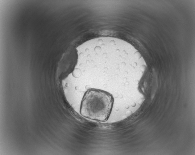 X0000073840569200608311938