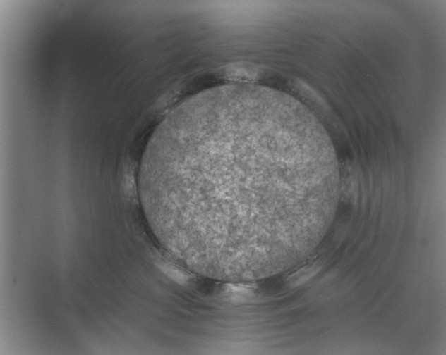 X0000073840573200608311938