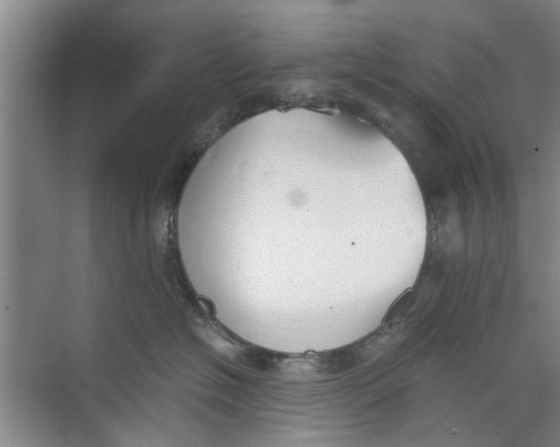 X0000073840574200608311938