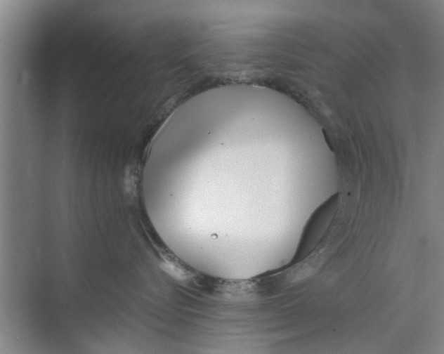 X0000073840576200608311938