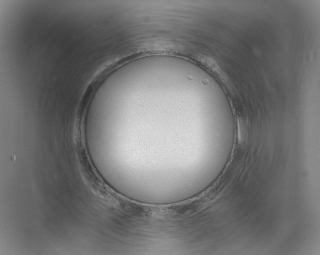 X0000073840579200608311937