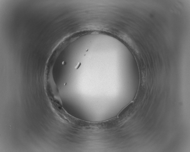 X0000073840580200608311937