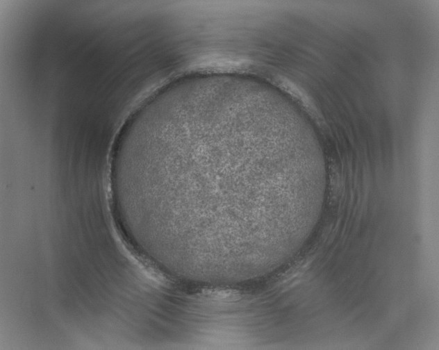 X0000073840582200608311937