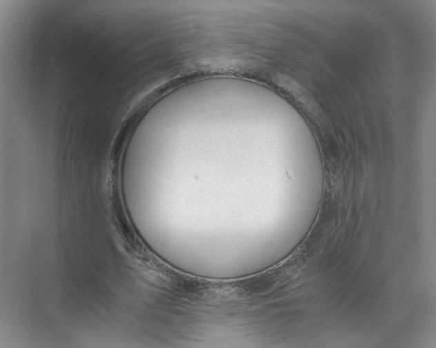 X0000073840583200608311937