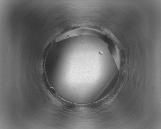 X0000073840585200608311937