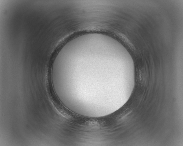 X0000073840588200608311937