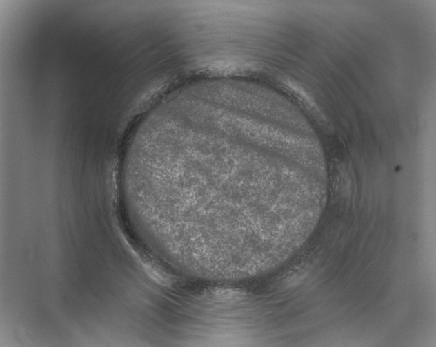 X0000073840590200608311937