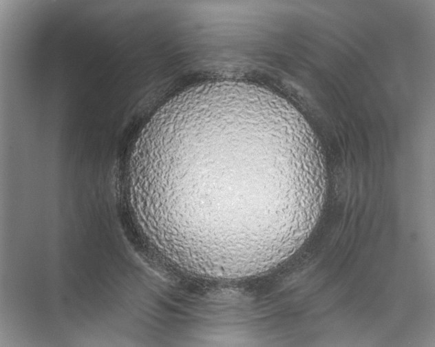 X0000073840594200608311937