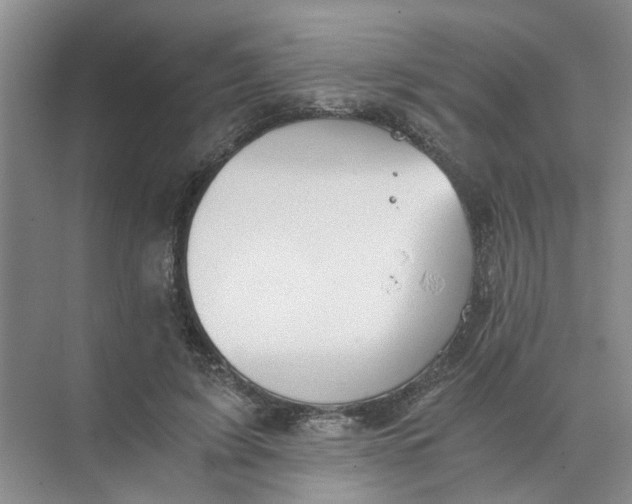 X0000073840595200608311937