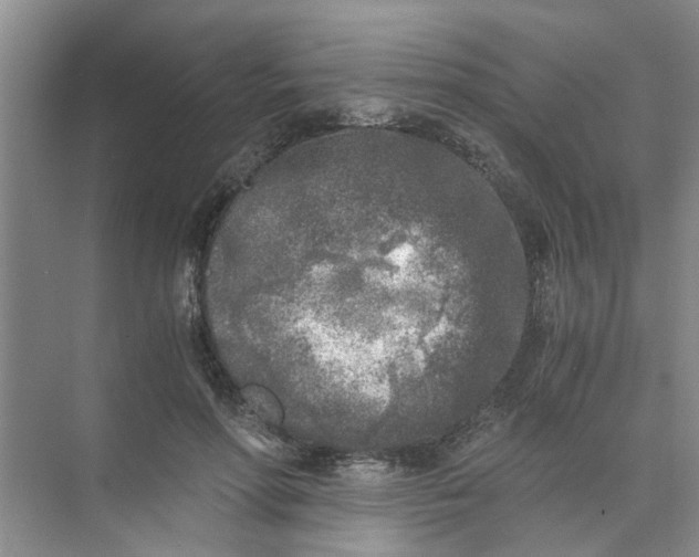 X0000073840598200608311937