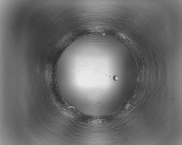 X0000073840600200608311937