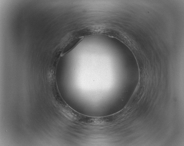 X0000073840601200608311936