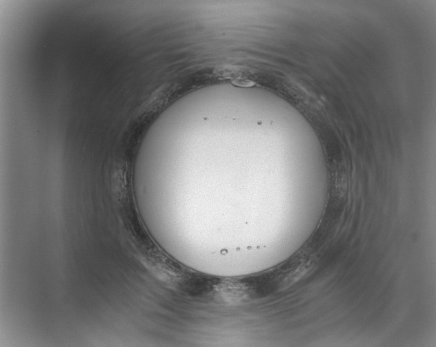 X0000073840603200608311936