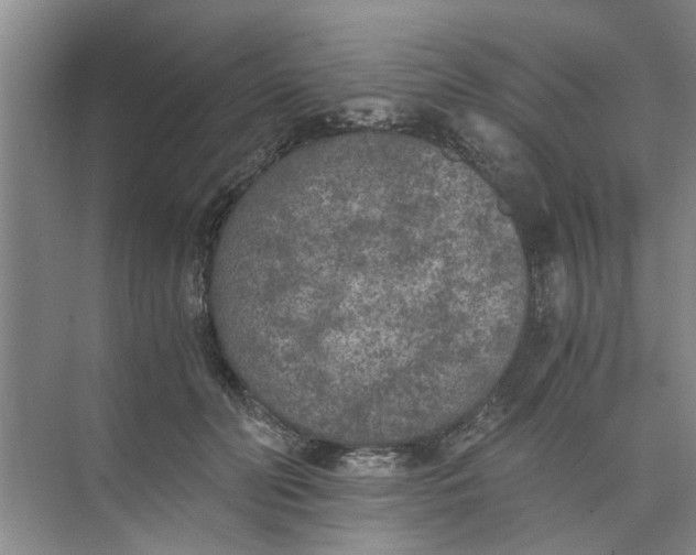 X0000073840606200608311936