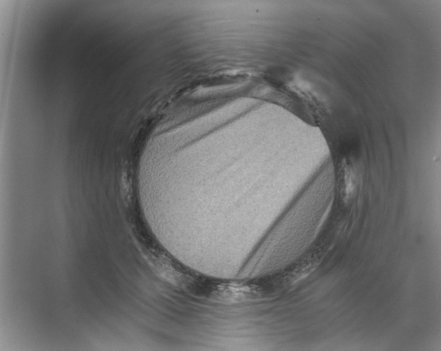 X0000073840607200608311936