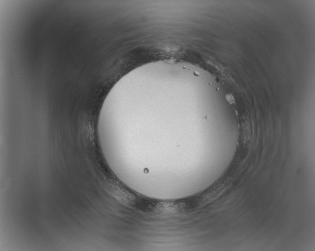 X0000073840613200608311936