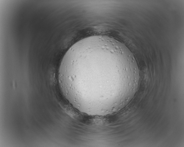 X0000073840615200608311936