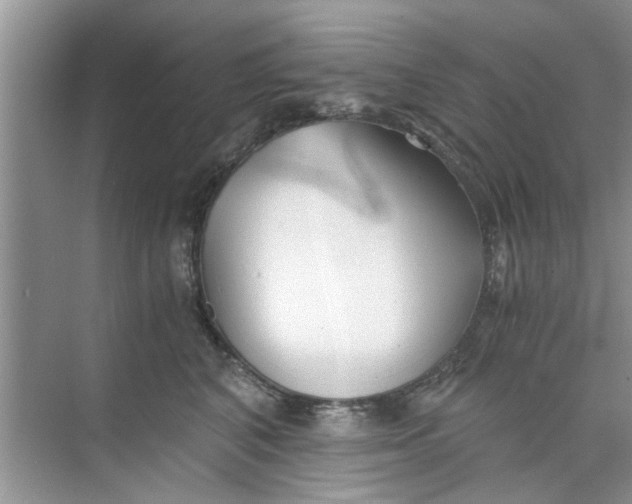 X0000073840616200608311936