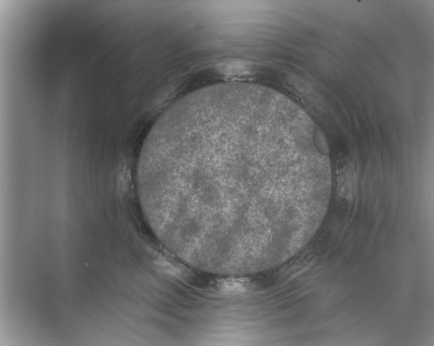 X0000073840618200608311936