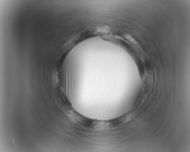 X0000073840621200608311936