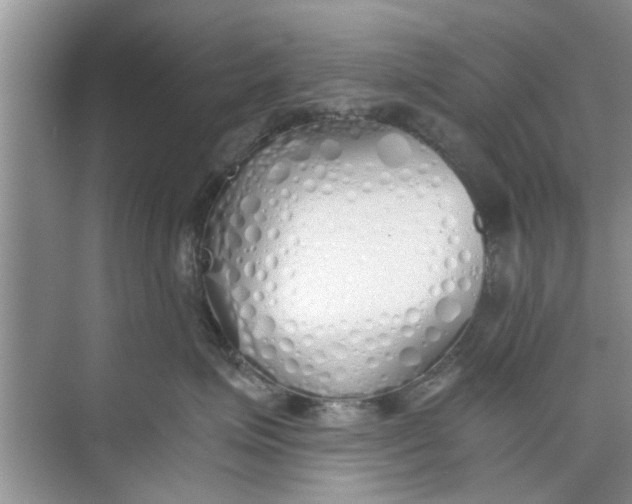 X0000073840623200608311936