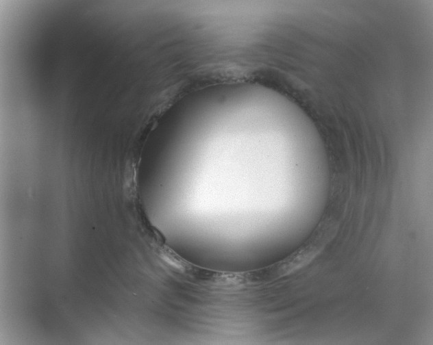 X0000073840624200608311936