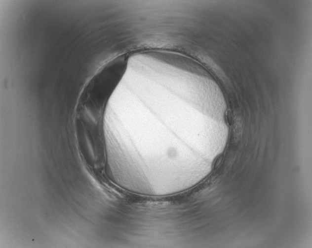 X0000073840626200608311935