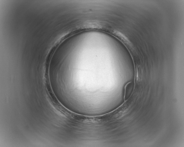 X0000073840627200608311935