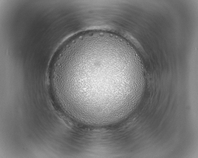 X0000073840628200608311935