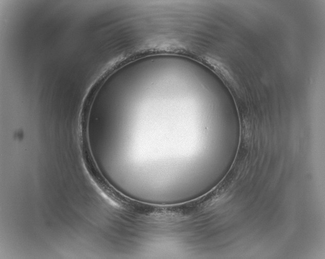 X0000073840630200608311935