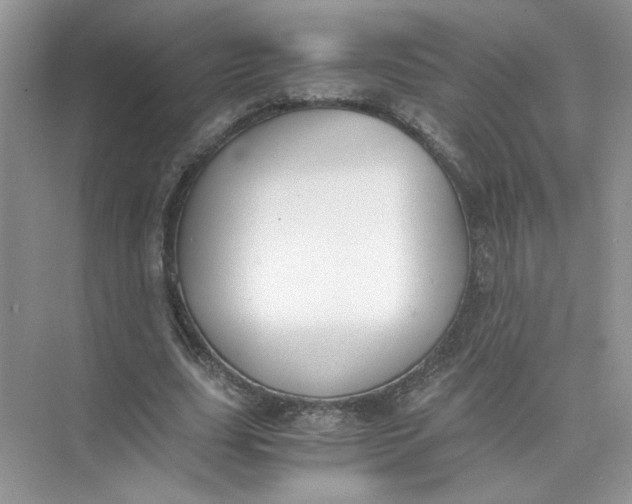 X0000073840631200608311935