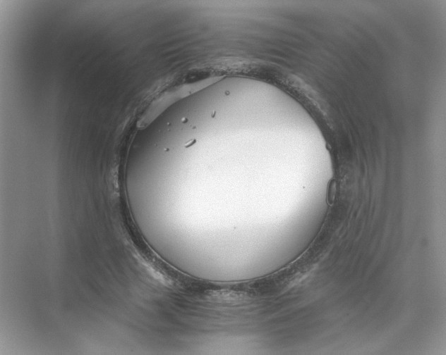 X0000073840633200608311935