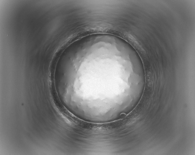 X0000073840634200608311935