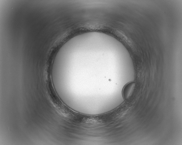 X0000073840635200608311935