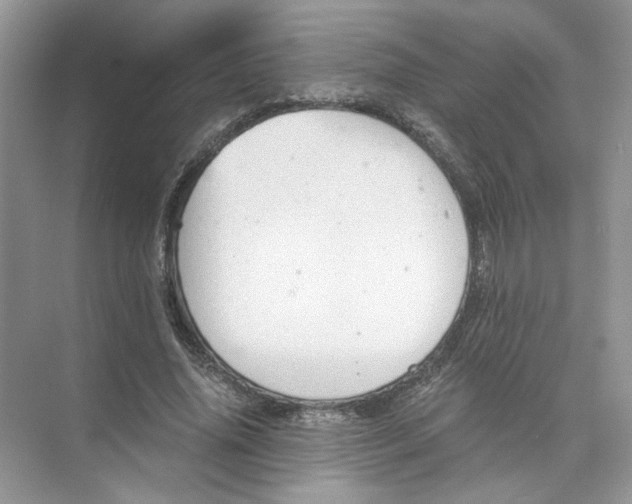 X0000073840636200608311935