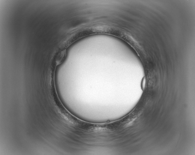 X0000073840637200608311935