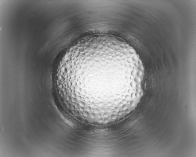 X0000073840638200608311936