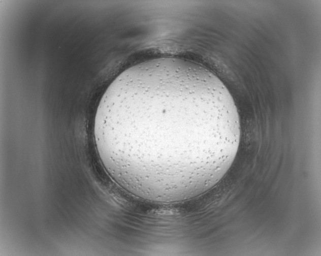 X0000073840639200608311936