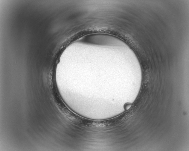 X0000073840640200608311936