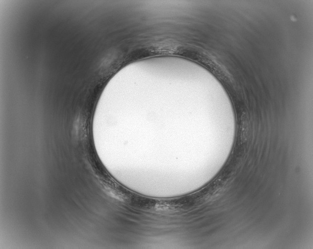 X0000073840641200608311936