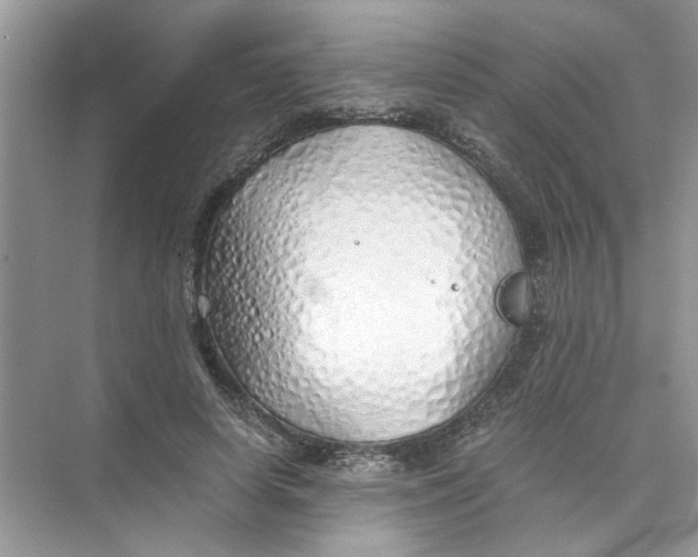 X0000073840642200608311936