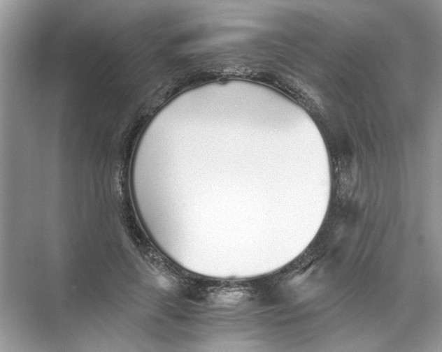 X0000073840643200608311936