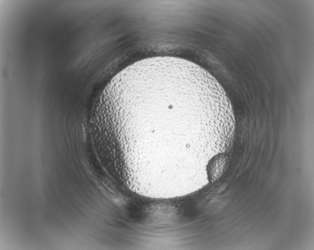 X0000073840644200608311936