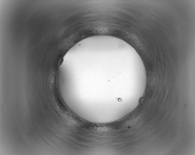 X0000073840645200608311936